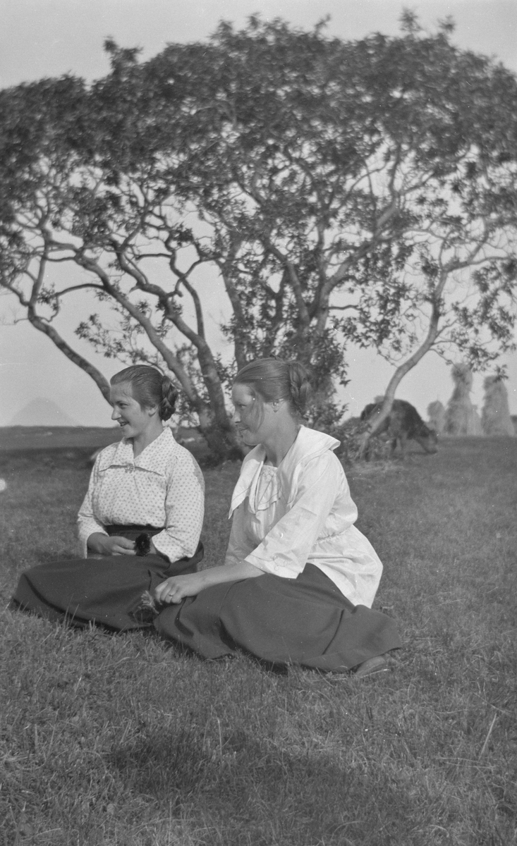To kvinner sittende i gresset foran et tre
