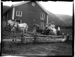 To kvinner og en mann sitter i vogn trukket av en hest. Foto