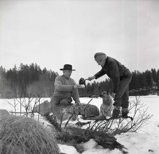 Hilding bjuder Albert på kaffe på Sillratjärns is och Alberts hund Nicko sitter bredvid, 4 april 1964.