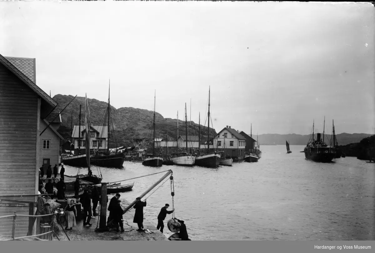 Seglskuter og fiskebåtar ved Espevær kai