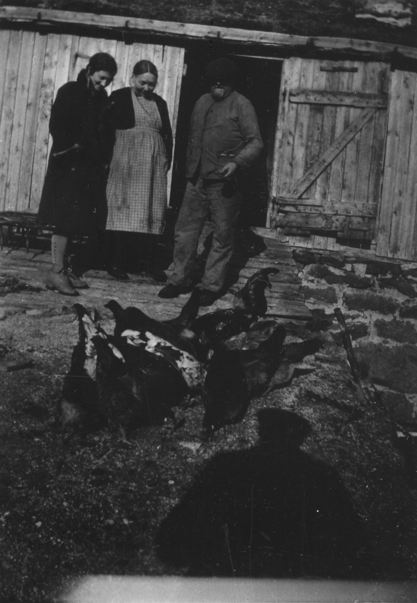 Tobias og Guri Torgersen Dragøy i Tranøy, med svigerdatteren Bordis. Ca.1930.