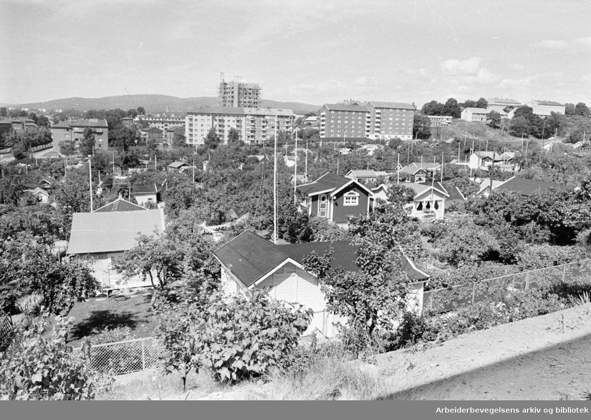 Rodeløkka Kolonihage. Utsikten fra lekeplassen. Juli 1965