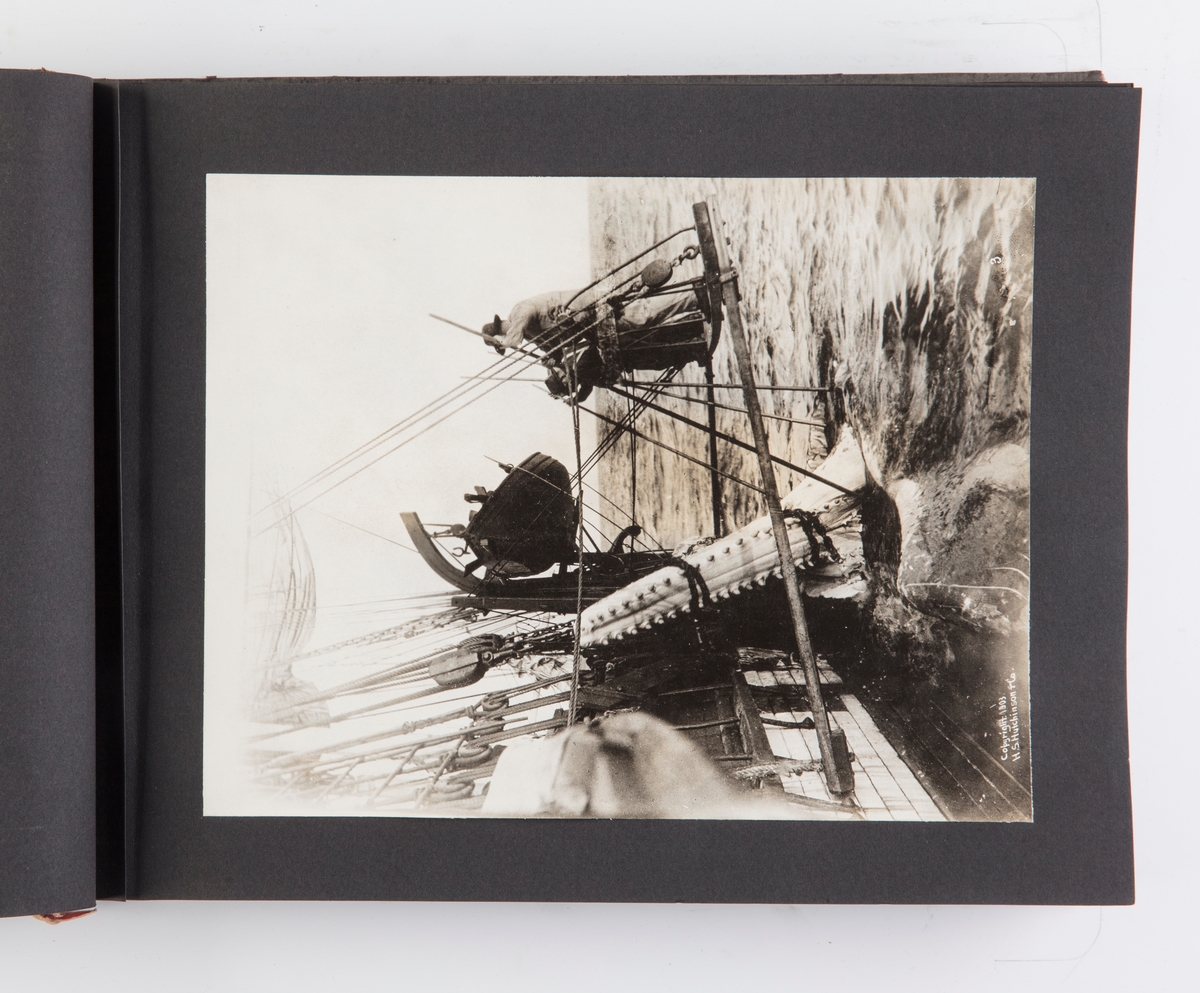 Fotoalbum med 25 fotografier fra hvalfangst og partering av hval. Fotografert i 1903 ombord i barken California.