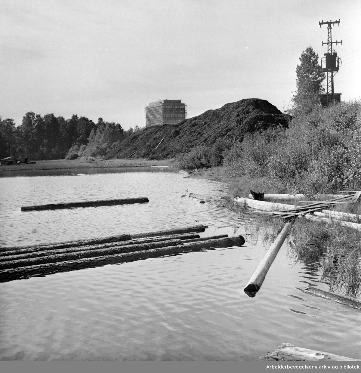 Maridalen: Maridalsvannet: Løvenskiold-Vækerøs sagbruk..Reportasje om drikkevanns-forurensing. September 1961