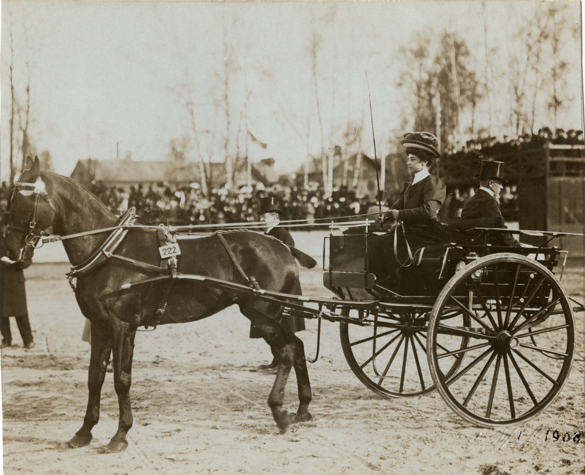Gertrud Magnus (gift Trägårdh 1906) kör häst med vagn.