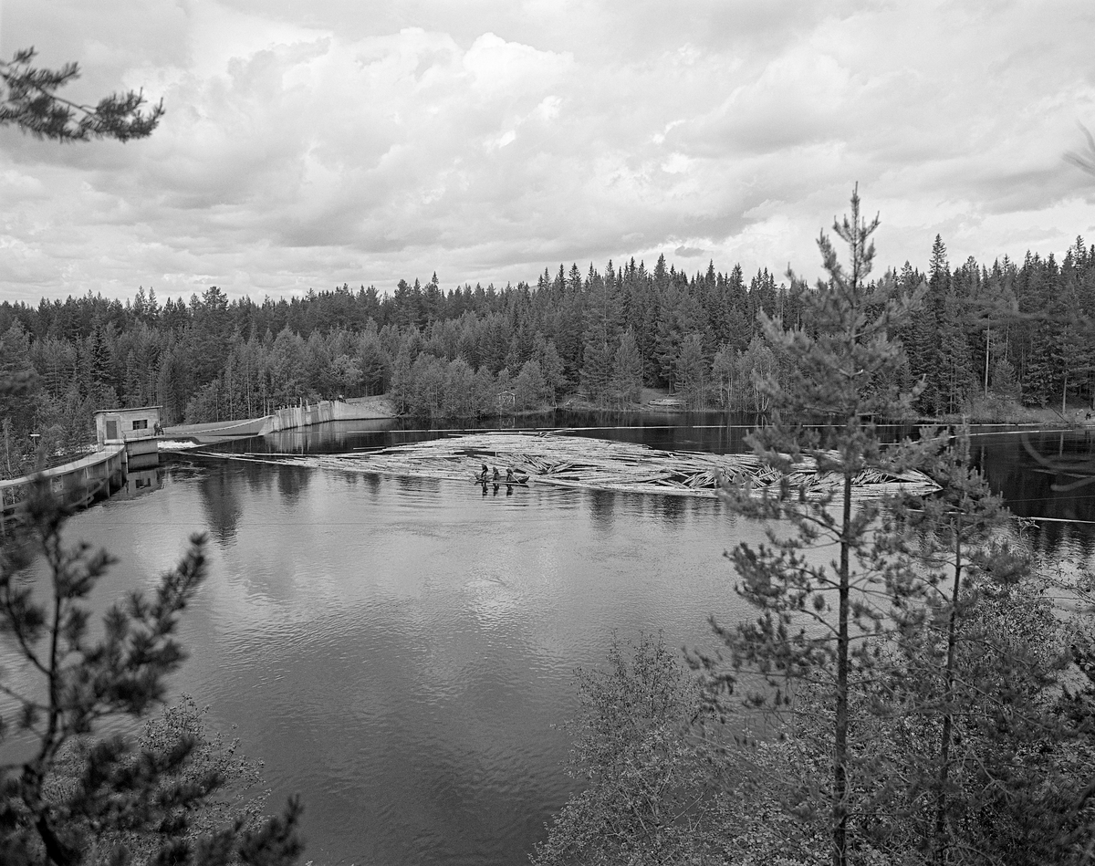 Sluttrensk på kraftverksdammen ved Osfallet i elva Søndre Osa i Åmot i Hedmark i mai 1984, den siste sesongen det foregikk tømmerfløting i denne delen av Glomma-vassdraget. Fotografiet viser hvordan fløterne, fordelt på to robåter med ei mellomliggende lense, sørget for at løstømmer på vannspeilet ble trukket mot kraftverksdammen. Der var det lagt ut lenser for å lede virket mot tømmerløpet som var plassert mot det nordre landet, hvor fallhøyden var mindre enn nedenfor den buete hoveddammen mot søndre landside. Damanlegget på fotografiet skal ha vært ferdigstilt i 1947. Den ble noe ombygd i 1981.  Ettersom vassdragslovgivinga påla dem som drev tømmerfløting å fjerne installasjoner i vann ved opphør av virksomheten, ble tømmerløpet ved Osfallsdammen revet umiddelbart etter at fløtinga på dette fotografiet var avviklet.  Energiproduksjonen ved denne lokaliteten foregår i en kraftstasjonsbygning fra 1914, cirka en kilometer nedenfor den avbildete dammen, hvor det er installert to francisturbiner som kan yte 5.5 megawatt. Den opprinnelige dammen ble ødelagt ved et dambrudd i 1916.  Det nåværende kraftverket utnytter et fall på 41 meter i elva Søndre Osa. Vegen på sørsida av vassdraget fører ned til kraftstasjonen og derfra mot Fylkesveg 215 ved Oset.