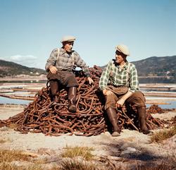 To arbeidere, fotografert på en haug av rustne boltklaver.  