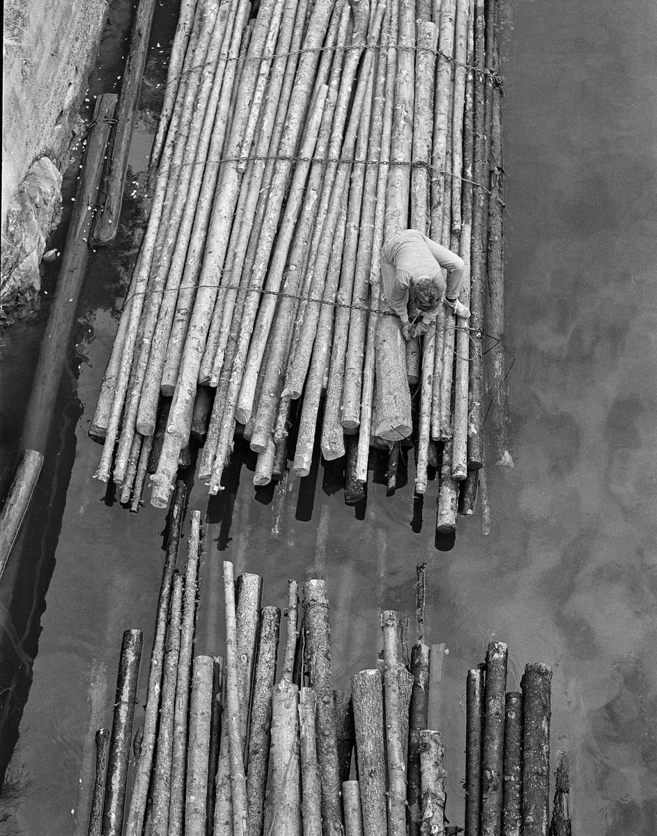 Arbeid på tømmerbunter i Strømsfoss sluse i Strømselva i Aremark høsten 1982.  Dette var den siste sesongen det foregikk tømmerfløting i Haldenvassdraget, og det ble utelukkende fløtet ubarket massevirke (papirråstoff) i tre meters lengder.  Tømmeret ble utislått i bunter fra lastebil, vanligvis med tre «bind».  Bindene besto av vaier med kjetting i den ene enden og et pæreformet ringledd, ei «kause» i den andre.  Kjettingene fra den ene vaierenden ble trukket gjennom kausa i den andre, og når det var stramt nok ble forbindelsen låst ved å trekke en kjettinglekk inn i den trange delen av kausa.  Da dette fotografiet arbeidet Anne Johansen, dattera til slusemester Odd Johansen ved Strømsfoss sluse med et bind på en av buntene.

En liten historikk om tømmerfløting og kanaliseringsarbeid i Haldenvassdraget finnes under fanen «Opplysninger».