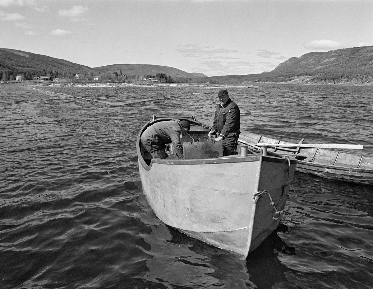Sleping av tømmer i ringbom på Lomnessjøen i Ytre Rendalen i Hedmark våren 1984.  I forgrunnen ser vi varpebåten av stål, som ble brukt i dette arbeidet.  Karene om bord var Ola Stubsveen (1924-1998) til venstre og Harald Hansen (1926-1999).  Hansen sto ved rattet, mens Stubsveen sto bøyd over motoren.  Fra en vinsjtrommel i båten gikk det ei slepeline, en vaier som var forankret i en ring av sammenkjedete tømmerstokker som omsluttet en del løstømmer.  Tømmeret ble slept på denne måten fra Hornsetlensa i nordenden av innsjøen til utløpet ved Kvernnesodden, ei snau mil lengre sør.  Til høyre for varpebåten lå det en robåt av tre, sannsynligvis fra Glomma fellesfløtingsforenings båtbyggeri på Flisa i Solør.  I bakgrunnen på dette bildet, over tømmerbommen, skimter vi spiret på Ytre Rendal kirke på Otnes.  1984 var den siste sesongen med tømmerfløting i denne delen av Glommavassdraget.