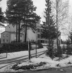Skogfrøverkets bygning på Hamar, fotografert fra sørøst, alt