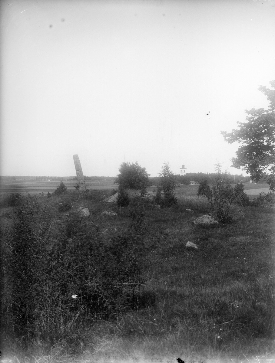Vy från kulle med rest sten mot Altuna kyrka, Altuna socken, Uppland 1925