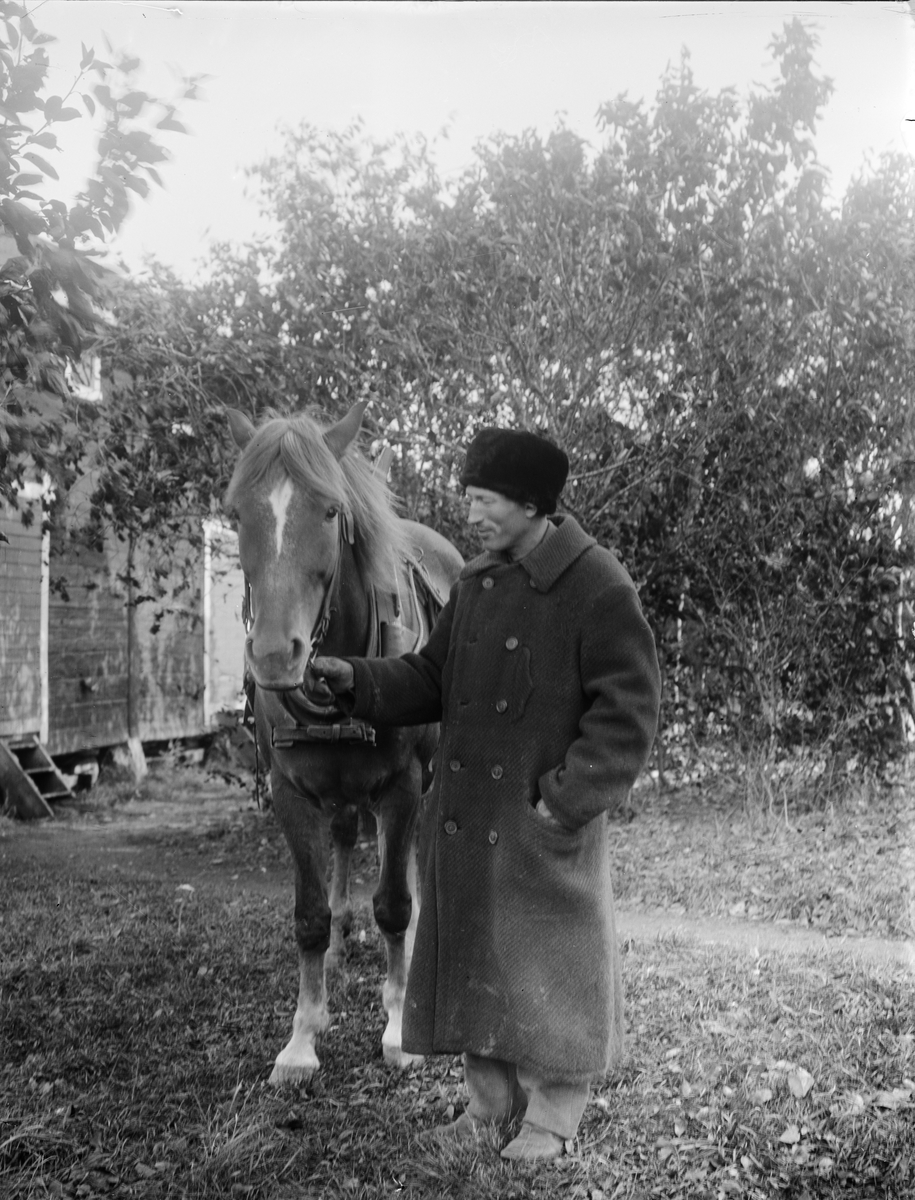 John Alinder med häst i trädgården, Sävasta, Altuna socken, Uppland