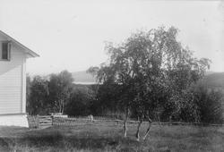 Hagen på doktorgården Solheim, Kirkenes, før 1897.