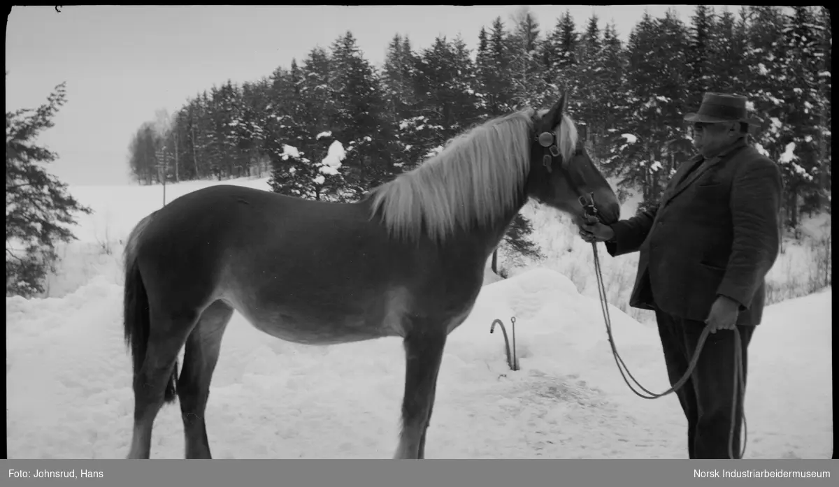 Mann stående med hest iført hodelag i vinterlandskap.