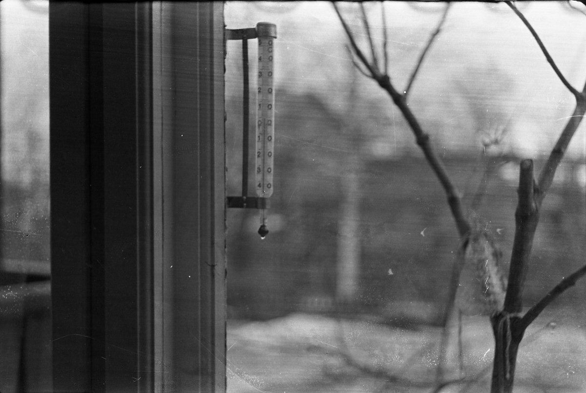 Bilde tatt gjennom kjøkkenvinduet hos fotografen på Odberg, Østre Toten, mars/april 1953. Sentralt i bildet: En gradestokk. Skal kanskje indikere at vårsmeltinga har startet?