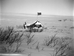 Vinikka. Vinterlandskap. Bildet viser Vinikkahytta med flagg