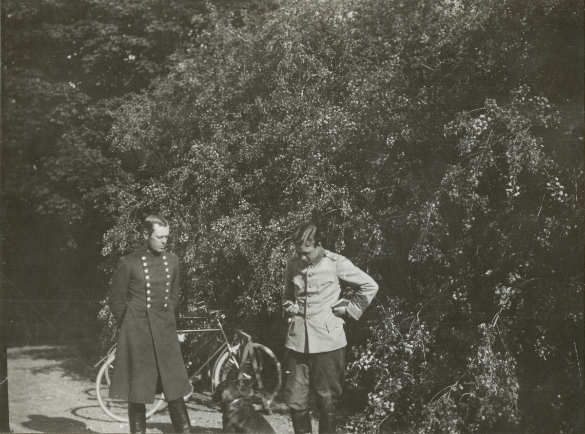 Text i fotoalbum: "Malmen 1923. Palmaer, Abelin".