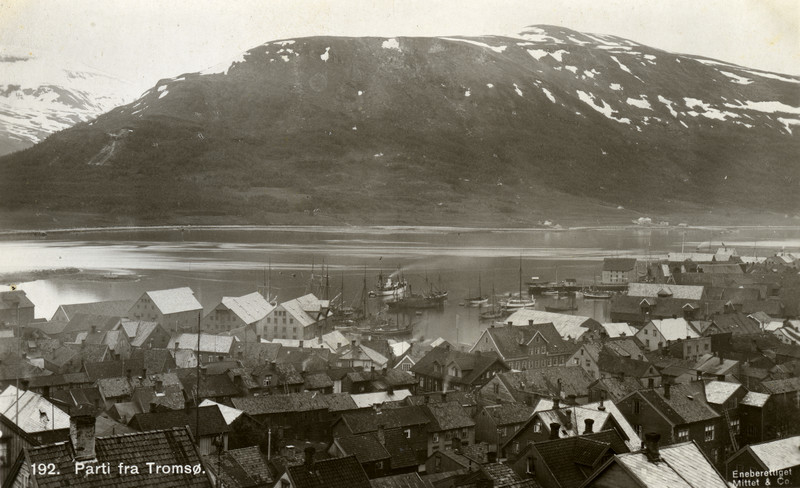 Bybilde av Tromsø med havna, og Fløya i bakgrunnen.