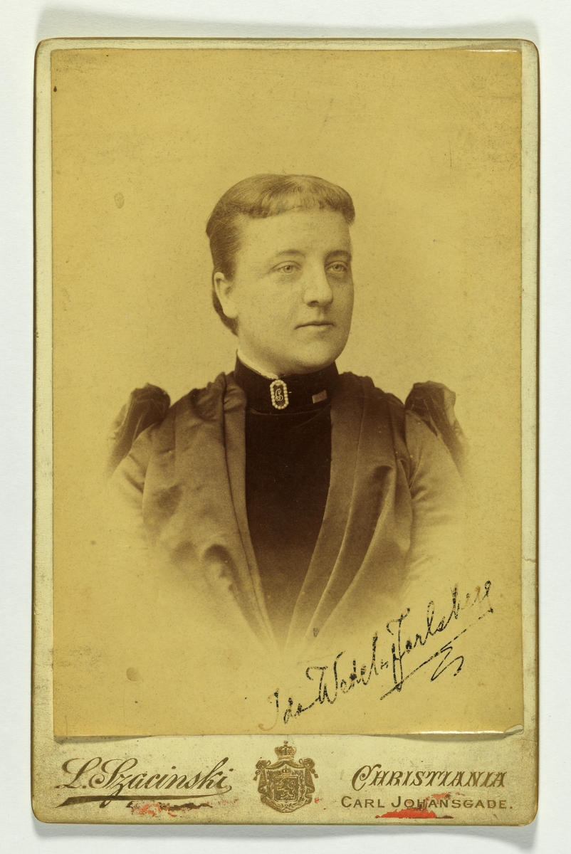 Ida Charlotte Clementine Wedel Jarlsberg var en norsk maler. I 1875 gikk hun i lære hos sin onkel Hans Gude i Karlsruhe. Senere gikk hun i lære hos både Eilif Peterssen i München og Harriet Backer.