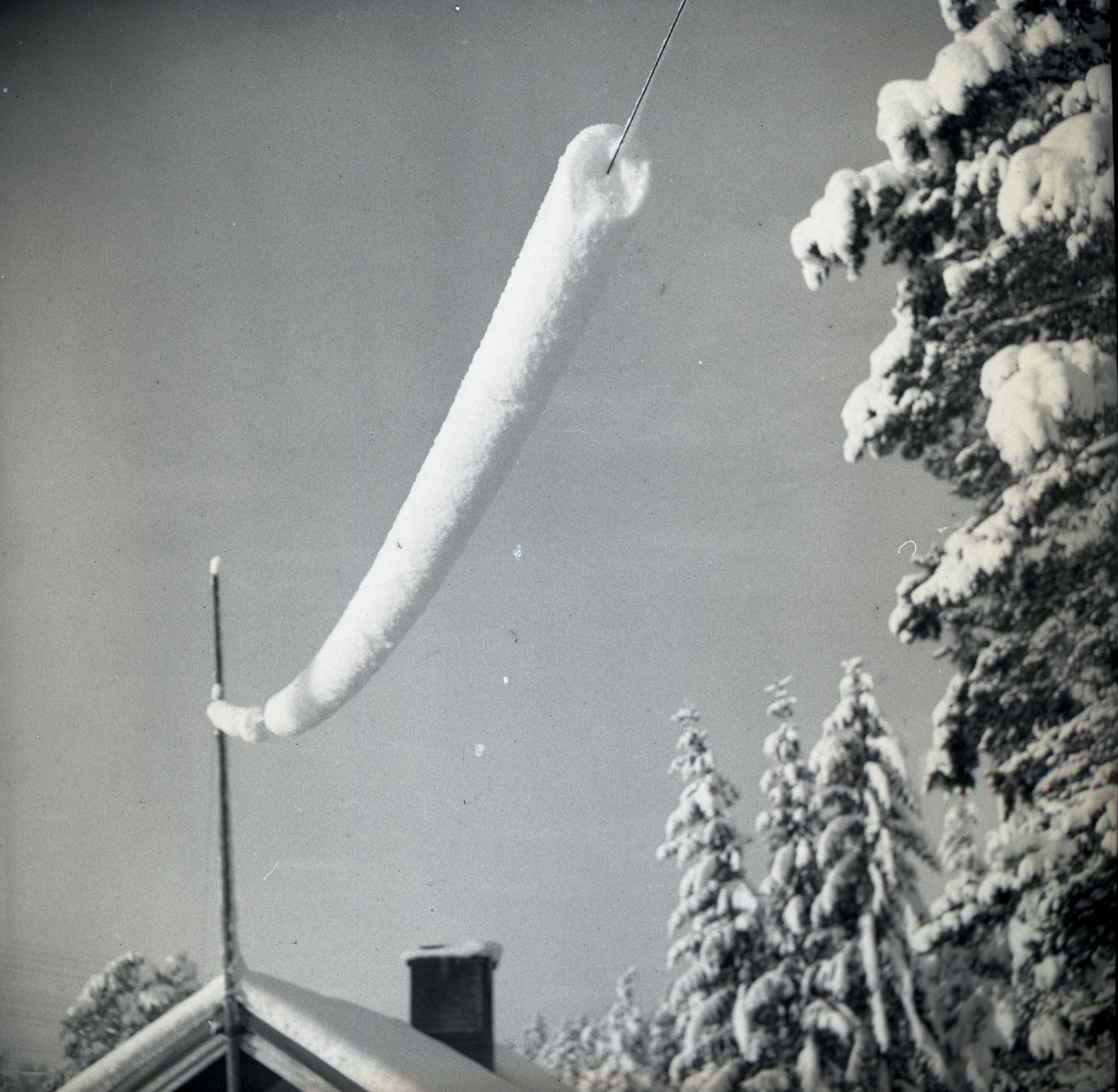 Snö som lagt sig runt en ledning och bäddat in den i snö, januari 1950.