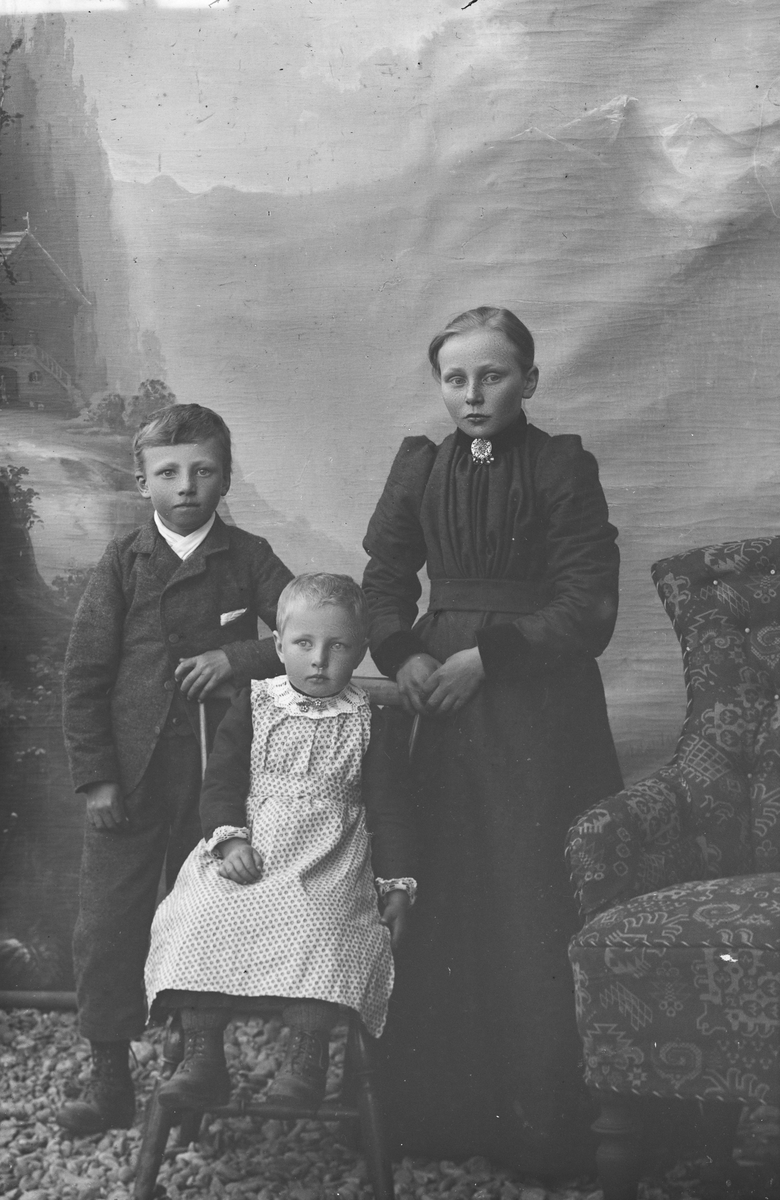 Helportrett av Anders T Ellingbøs barn, Vang i Valdres. Antageligvis Ole, Ingelev og Berit