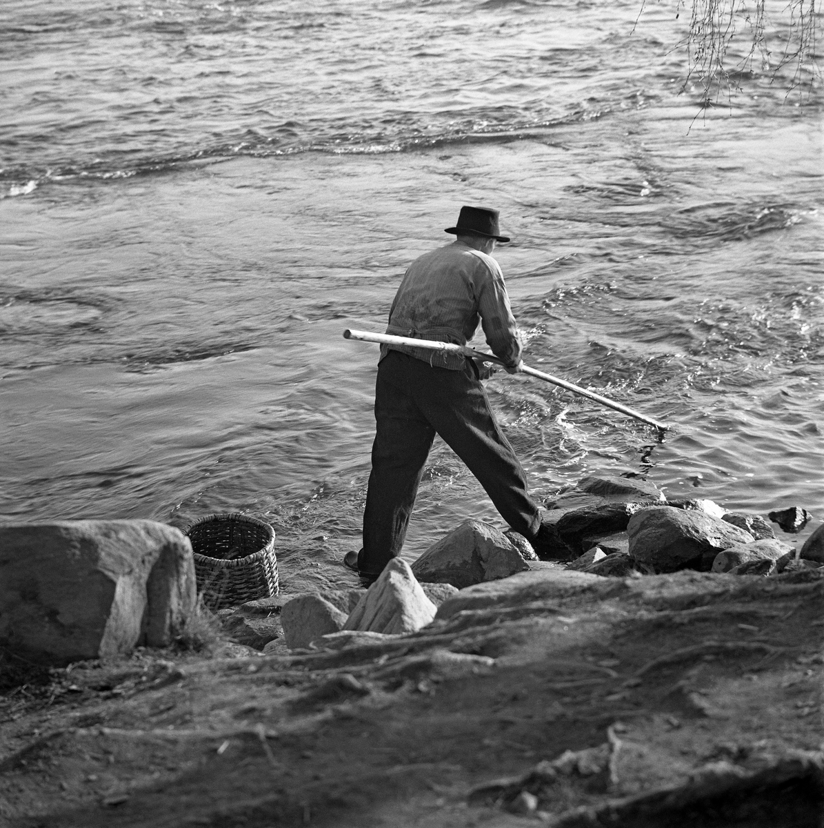 Hans Jørstad fra Fåberg, fotografert under lågåsildfisket i 1962.  Han fisket med grunnhåv, og bak ham ser vi en «snik», et flettet bæreredskap som håvfiskerne i den nedre delen av Gudbrandsdalslågen brukte.  Hans Jørstad var kledd i vadmelsbukser og busserull, og han hadde en svart filthatt på hodet.  Han sto i strandsonen i en del av Lågen der det etter vannspeilet å dømme var strid strøm.  Bildet skal være tatt ved Rundtom, som ligger på vestsida av Lågen, like nord for sideelva Gausas innløp.

Grunnhåven er et enmannsredskap, beregnet på fangst av lågåsild fra elvebredden.  Den besto av et treskaft - ei «raun» - som kunne være fire til seks meter lang, og et «håvhuggu» med en finmasket fangtspose av bomullsgarn.  Håvhugguet var ovalt.  Håven ble ført ned i vannet på motstrøms side og ført med vannmassene langs botnen, litt hurtigere enn strømhastigheten, slik at fangstposen sto utspent på oversida av håvhugguet.  Når håven var kommet så langt nedover at fiskeren ikke nådde lengre, vred han rauna, så åpningen til «påsa'n» vendte oppover, slik at eventuell fangst ikke fikk sjansen til å unnslippe.  Var det lågåsild i håven, holdt fiskeren håvhugguet over en snik eller ei bøtte samtidig som han løftet ytterenden av fangsposen opp i lufta, slik at fisken falt ned i transportbeholderen.