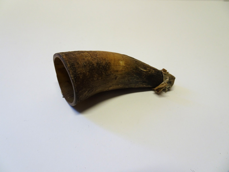 Horn brukt til kopping/ årelating.