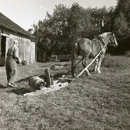 En man har spänt för en häst som drar en släde med en elmotor på, 1969.