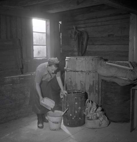 En kvinna öser  mjölk i en hink från en större tunna, 1949. Intill står två större tunnor samt en säck ligger på golvet.