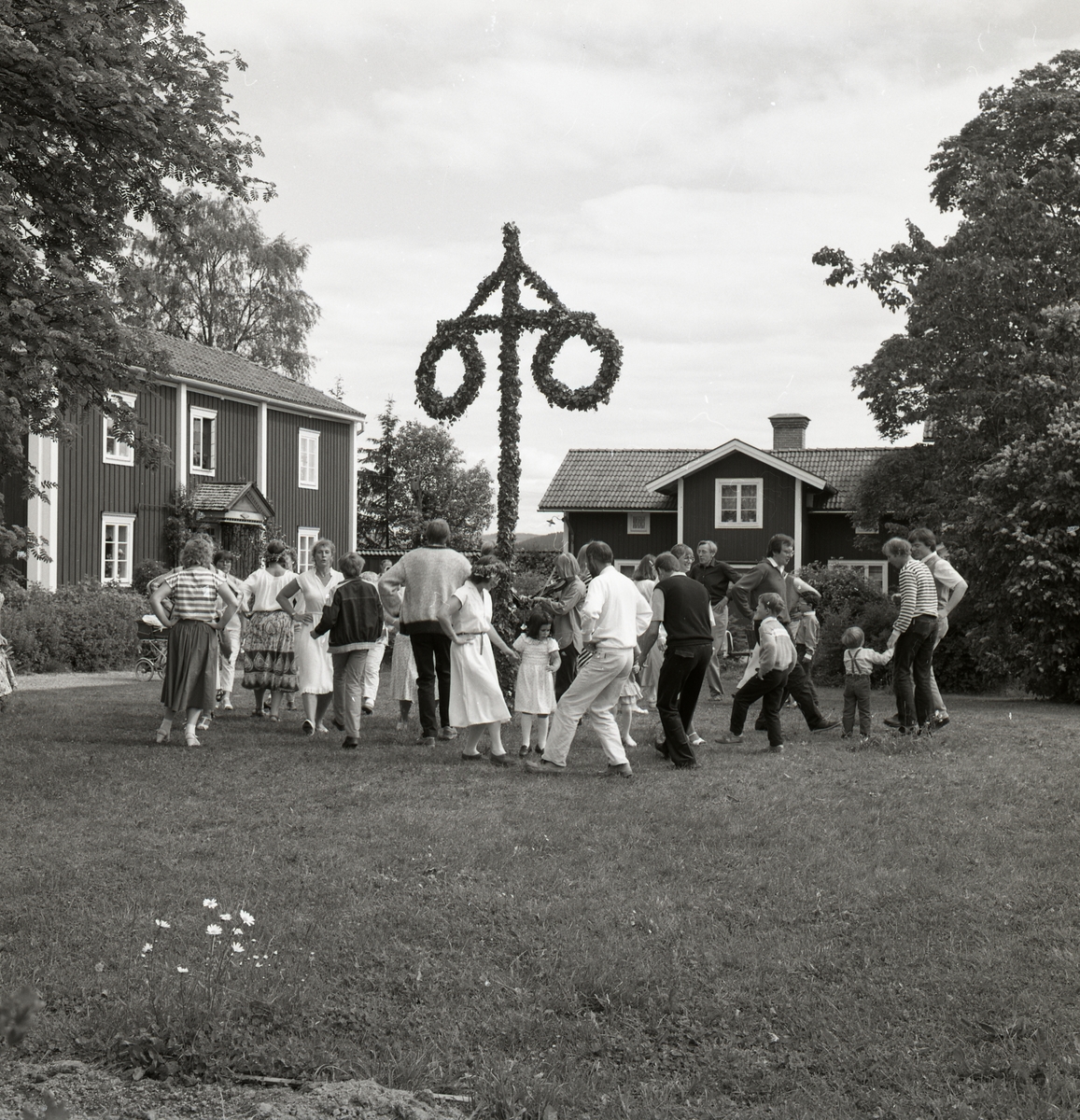En stor grupp människor dansar runt stången vid ett midsommarfirande på gården Sunnanåker den 25 juni 1983.