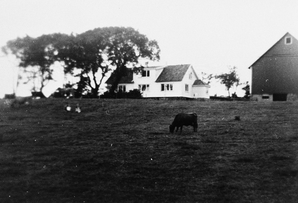 Husa på Veidene , Frøyland bnr. 18.