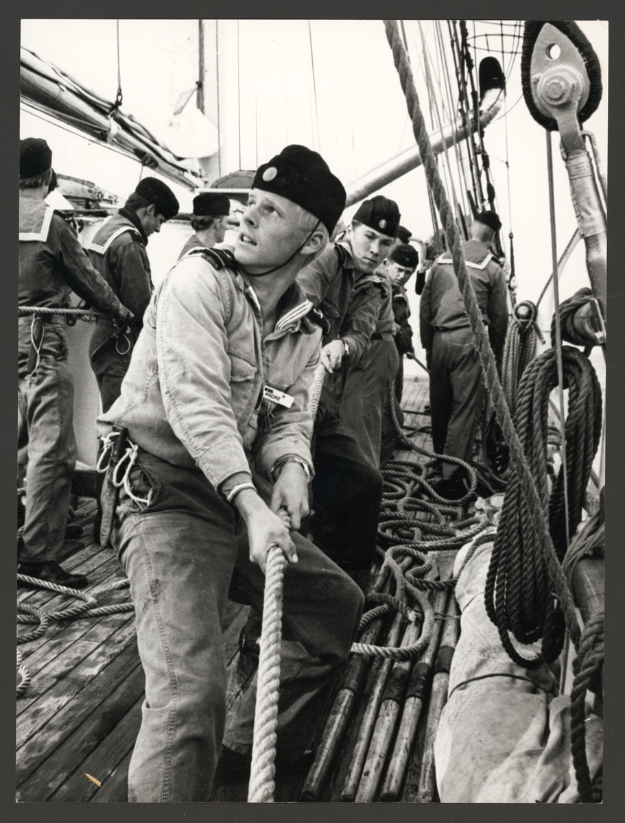Bilden visar en rad kadetter på en av Marinens skolfartyg som håller på att dra på en rep. Troligen sätter dem ett segel.