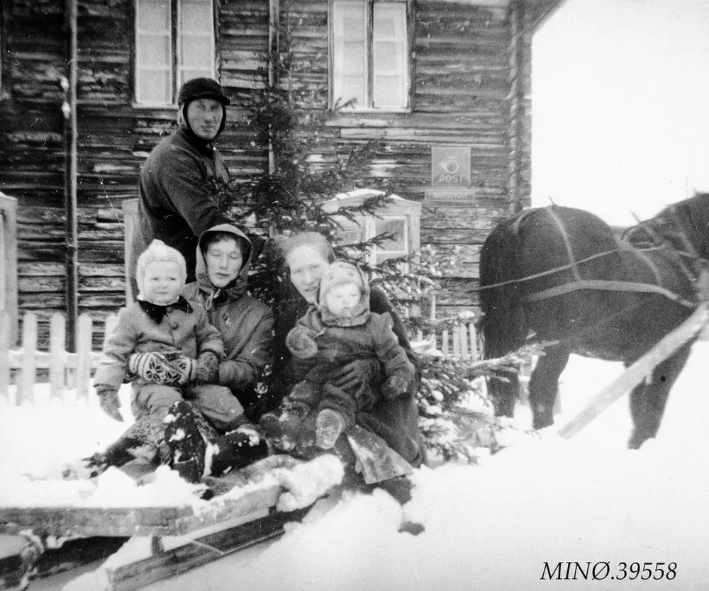 henting av juletre med hest og slede mann kvinner og barn