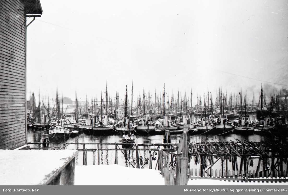 Honningsvåg. Vårtorskefisket. Fiskebåter tett i tett i havna. I forgrunnen fiskehjell med tørrfisk. Våren 1936.