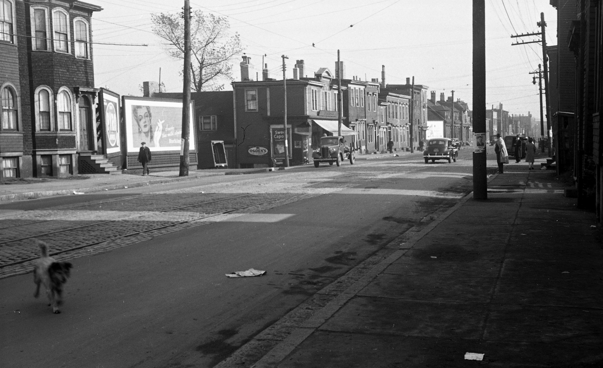Gatebilde. Gate med hus/butikker på hver side. Reklameplakater. Personer på fortauene, biler i gatene og en hund på vei over gaten. Barrington Street i Halifax.
