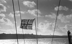 Det Norske flagget vaier i vinden. Kystlandskapet ved Halifa