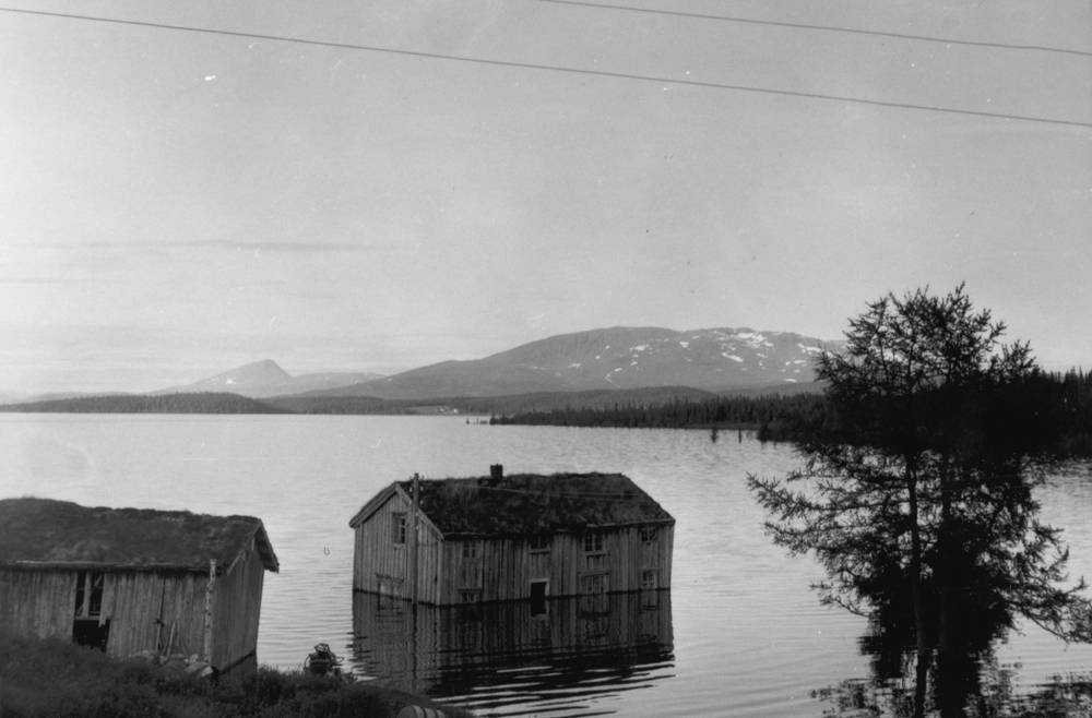 Under oppdemminga av Røssvatnet, gård i Sjåvika.