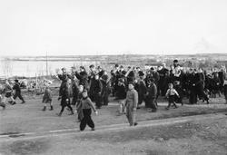17. maitog i Vadsø 1945. Vadsø hornmusikk og barn som løper 