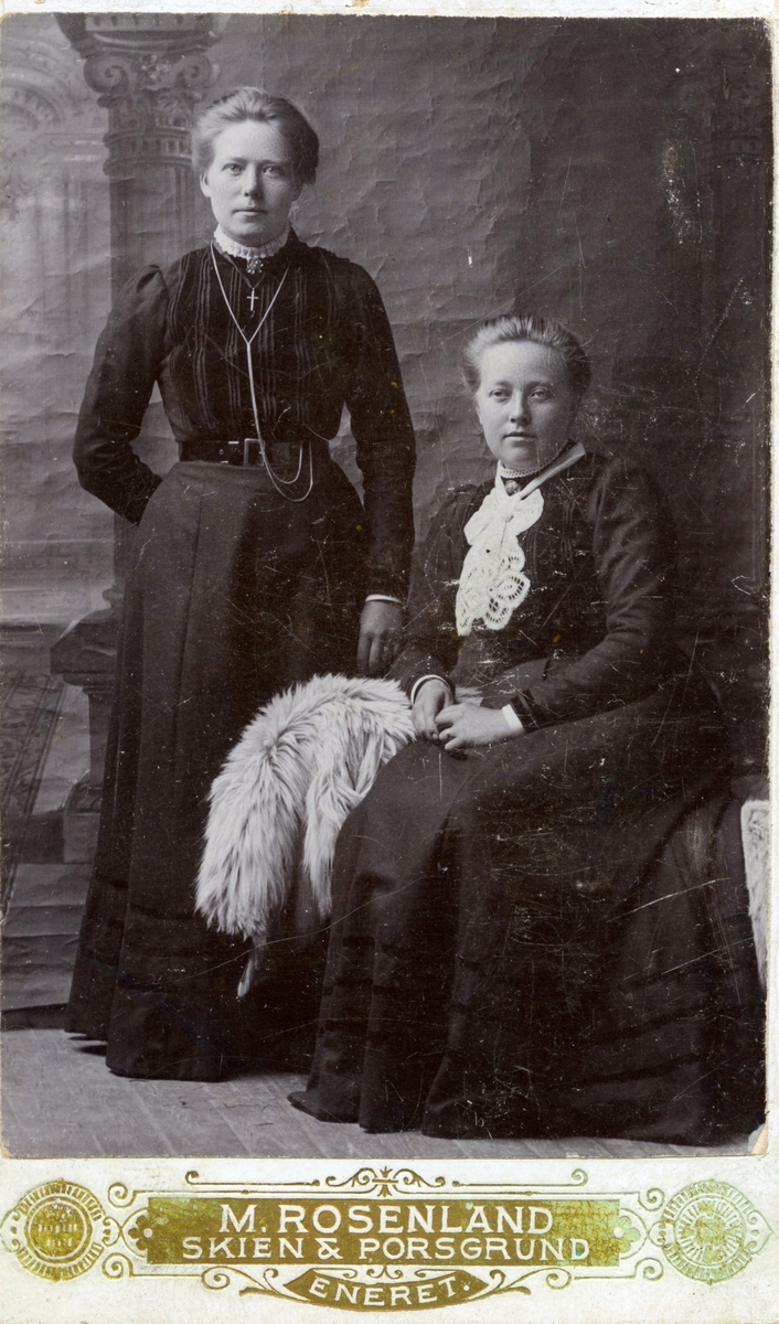 Atelierfoto av Ingeborg Folkvardsdatter Bråten (stående)  og Anne Sagbakken fra Porsgrunn.