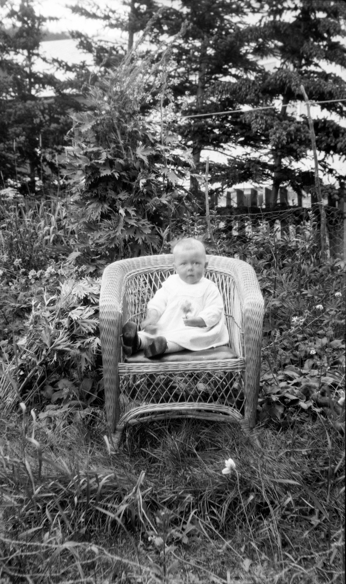 Portrett av liten gutt sittende i en kurvstol i hage.