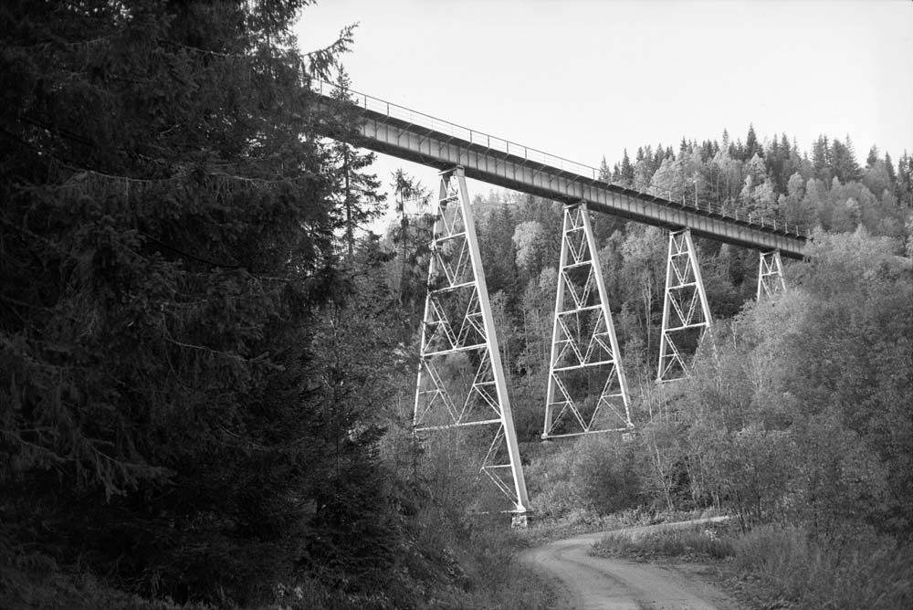 Trolldalen viadukt i Grane.