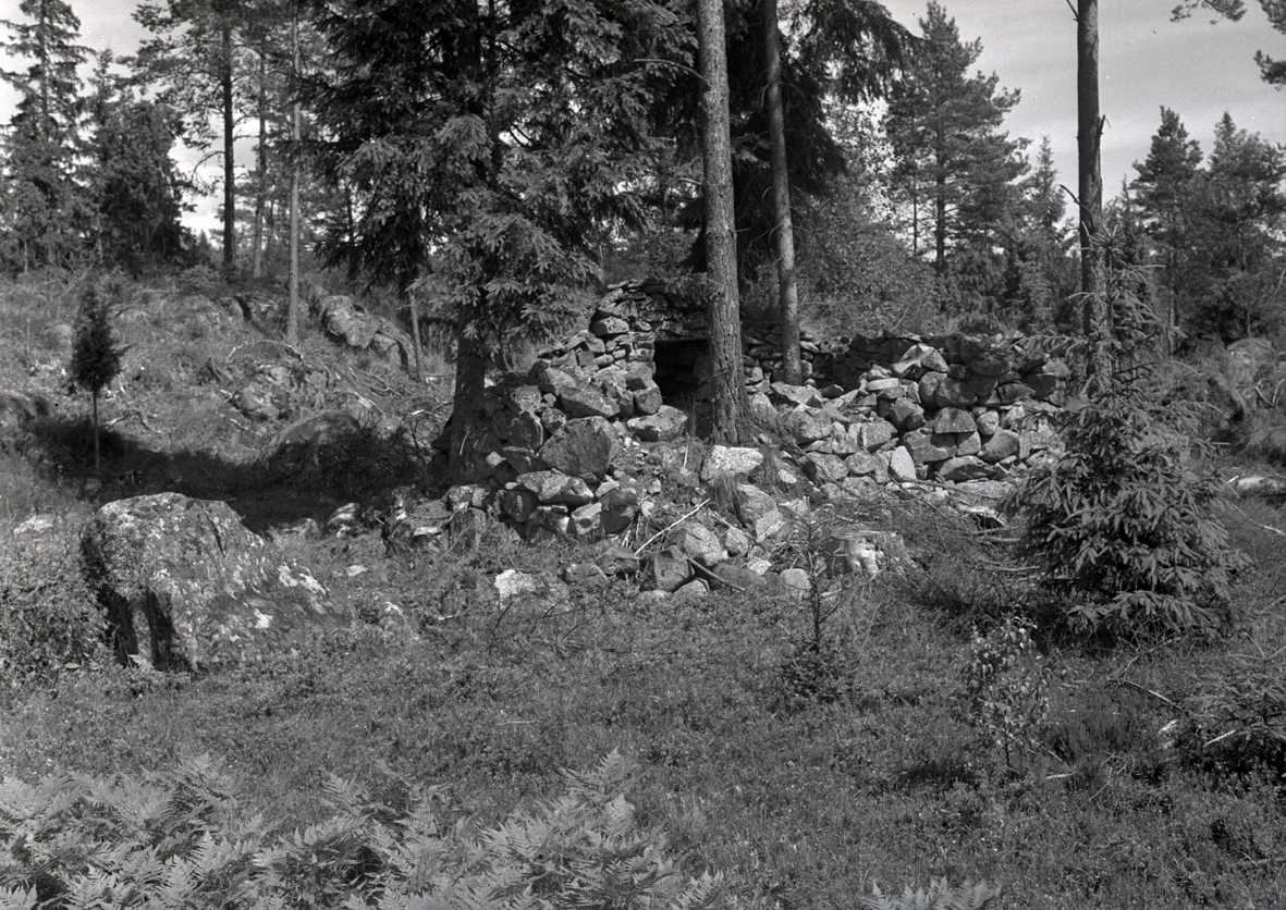 Rester av väggar till en stenstuga i Buttetorp.