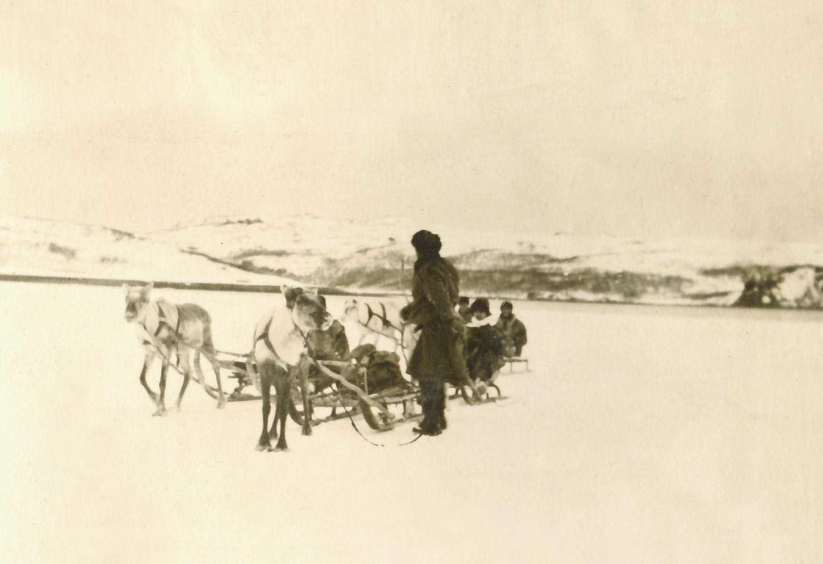 Klare i reinsdyrsledene på isen ved Jarfjord 1918.