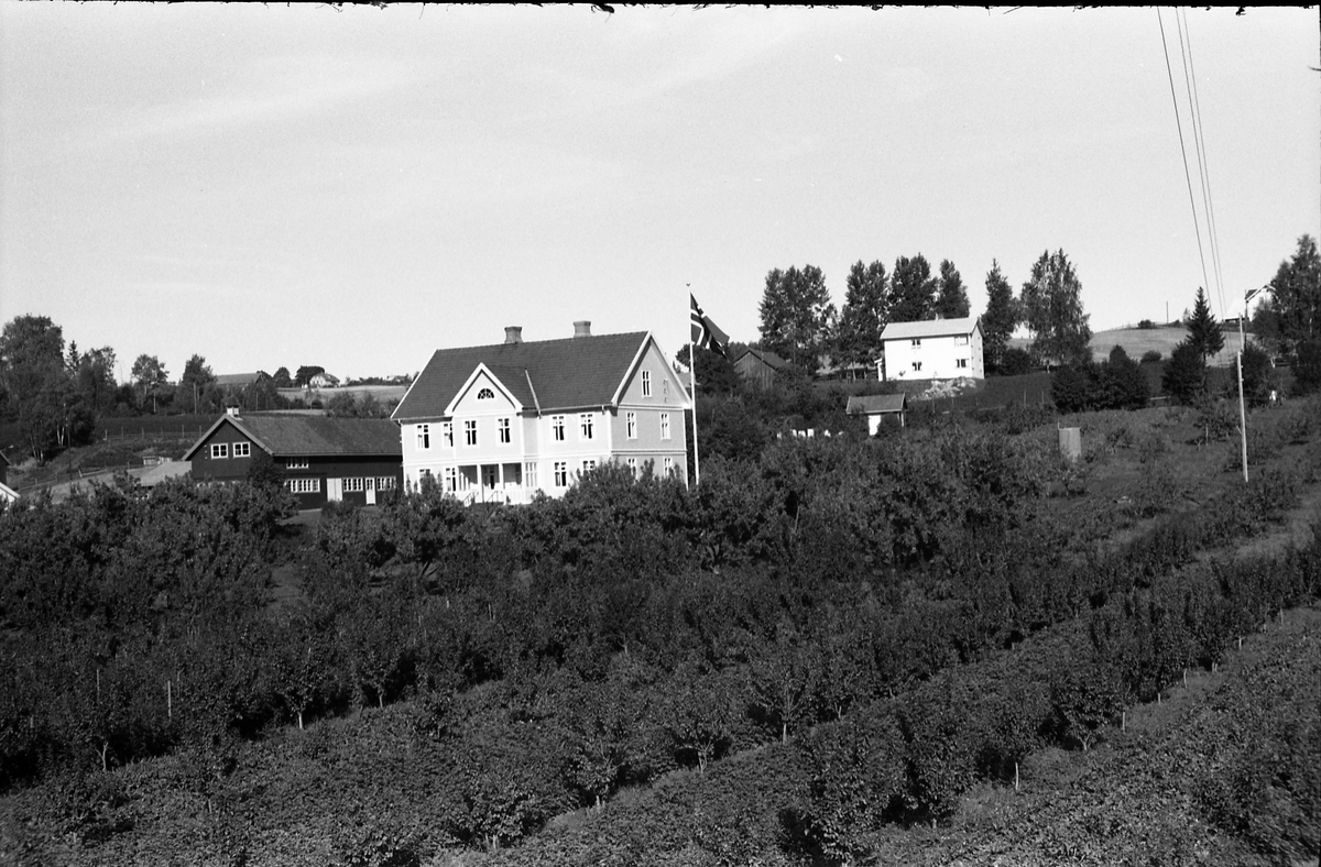 Tre bilder av eiendommen Sole på Vennevold i Østre Toten.