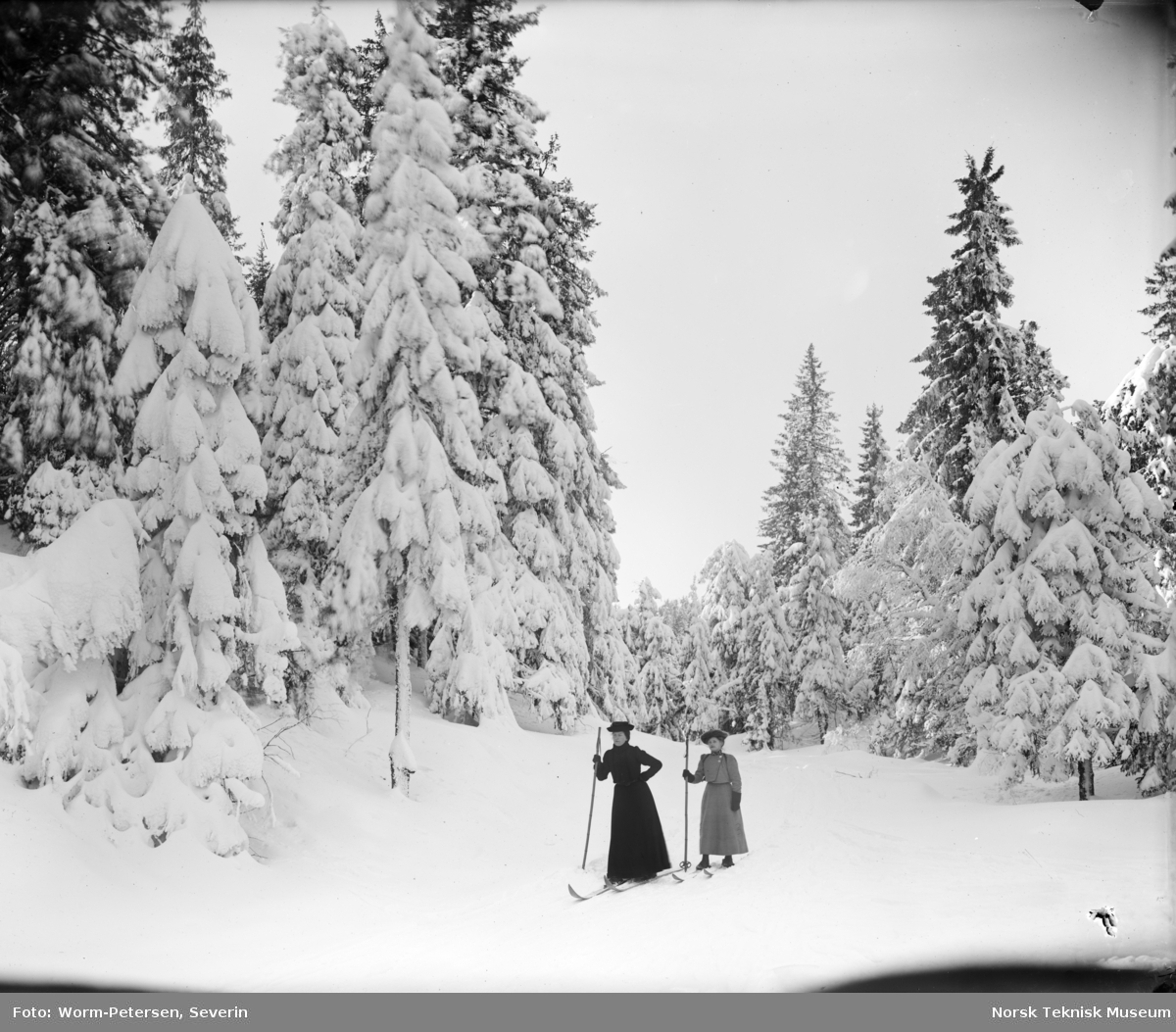 Frognerseteren,  vinter, snødekte trær, to kvinnelige skiløpere