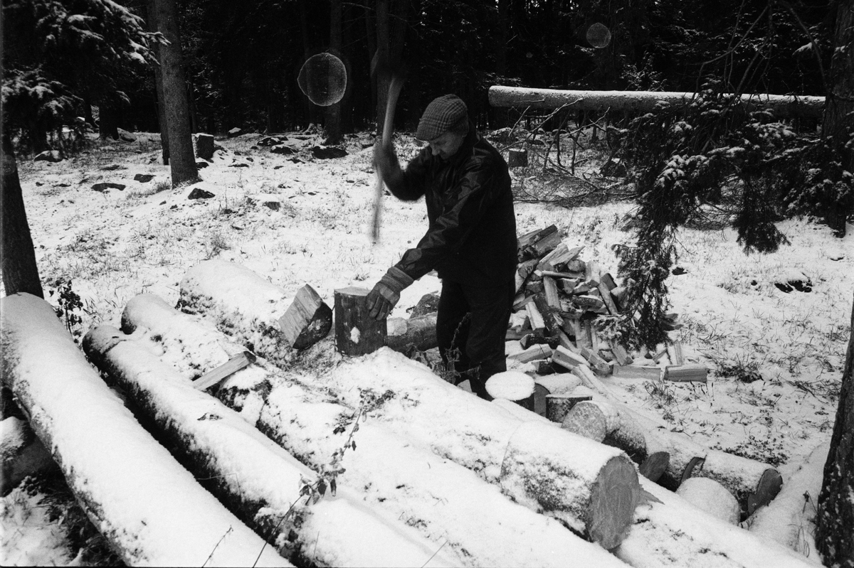 Lantbrukare  Birger Mattsson arbetar i skogen, Lönnholmen, Gräsö socken, Uppland 1994 - 1995
