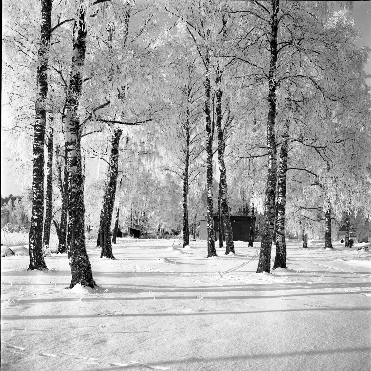 Vinterlandskap, möjligen vid sjön Ören i Örserum.
