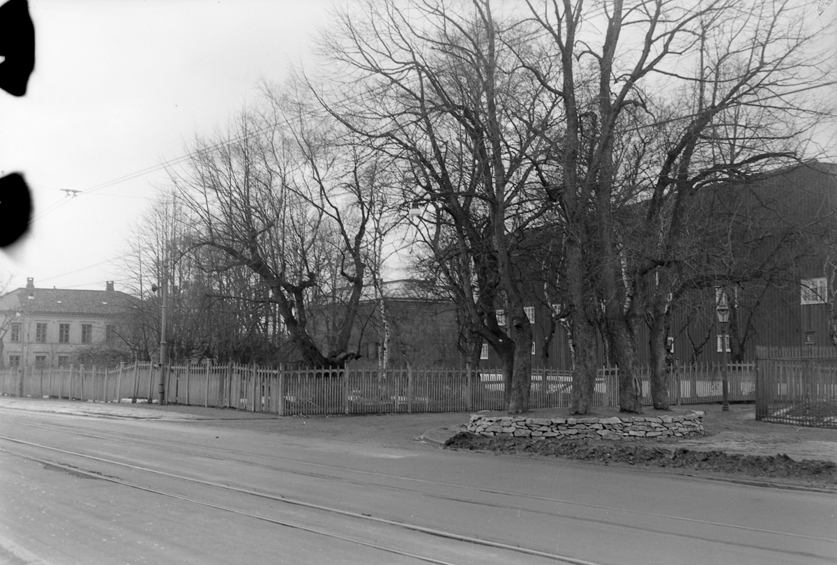 Parken mellom Prinsens gate og Waisenhuset