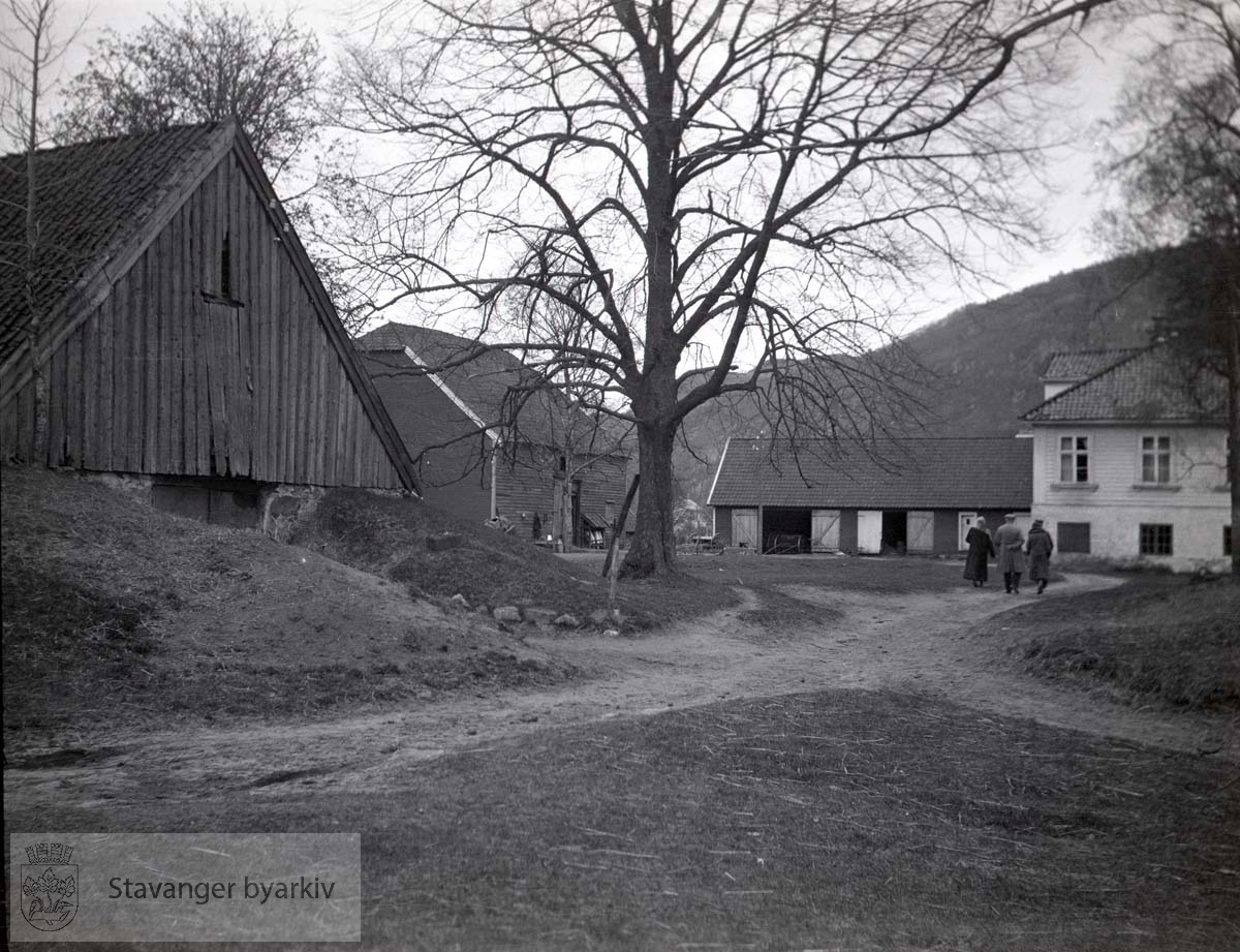 Våningshus og driftsbygninger på Øye gård