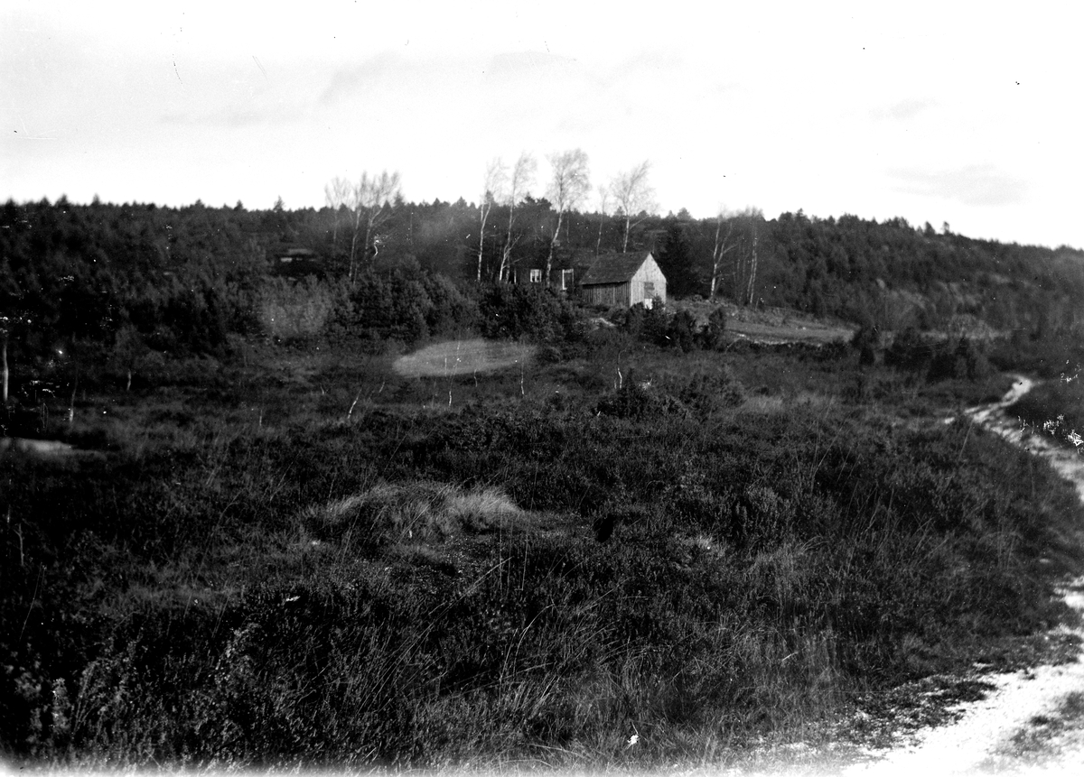Bygdefotografen Erik "Kloar-Erik" Anderssons stuga vid Åkermossen. Den låg på ofri grund långt upp i skogen ovanför Järlövs gård i Veddige.